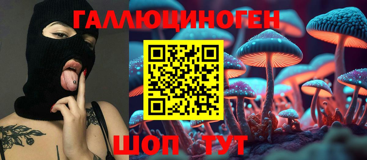 закладки  Галлюциногенные грибы GOLDEN TEACHER  Южноуральск  Вход с VPN  Псилоцибиновые грибы Cubensis 